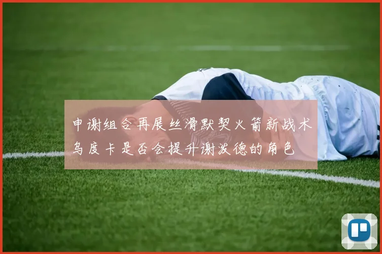 申谢组合再展丝滑默契火箭新战术乌度卡是否会提升谢泼德的角色